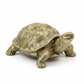 Pyrite Resin Tortoise Kachhua full product shot on white background