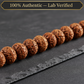 1-14 Mukhi Siddh Mala